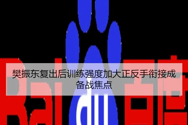 樊振东复出后训练强度加大正反手衔接成备战焦点