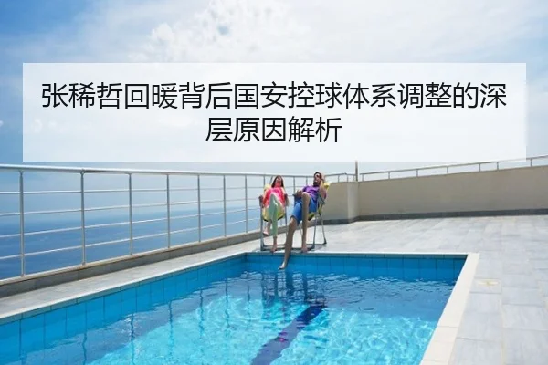 张稀哲回暖背后国安控球体系调整的深层原因解析