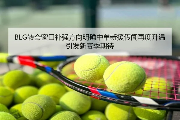 BLG转会窗口补强方向明确中单新援传闻再度升温引发新赛季期待