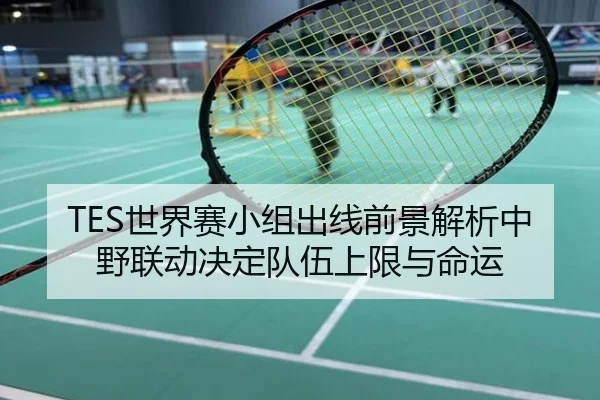 TES世界赛小组出线前景解析中野联动决定队伍上限与命运